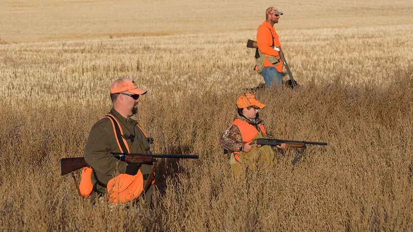 Staying Safe and Seen: The Safest Colors to Wear While Hunting